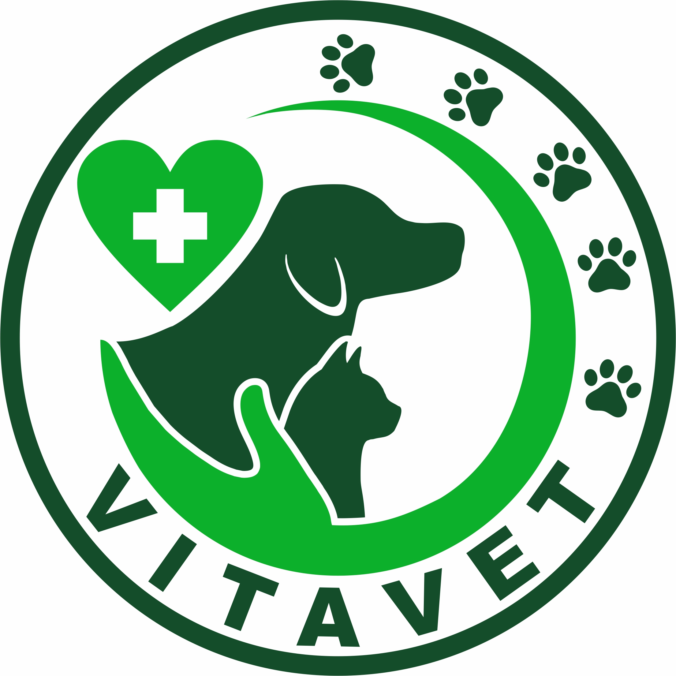 Logo de Clinica Veterinaria VitaVet