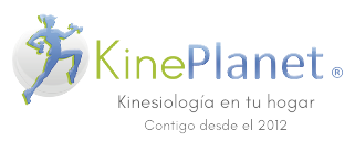 Logo de Kineplanet Limitada